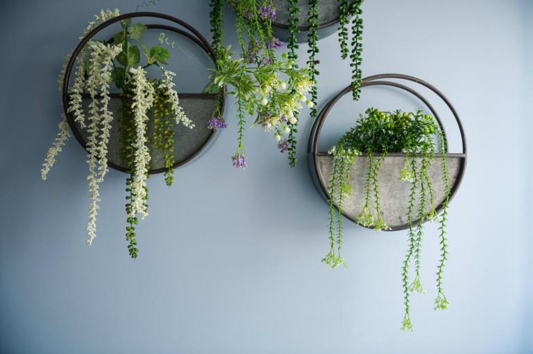 Décoration végétale à Hesingue : comment embellir votre espace naturellement ?